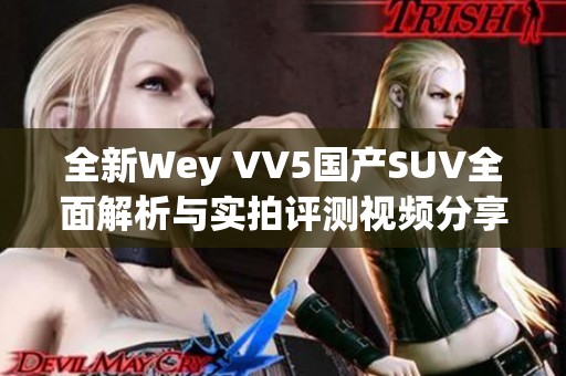 全新Wey VV5国产SUV全面解析与实拍评测视频分享