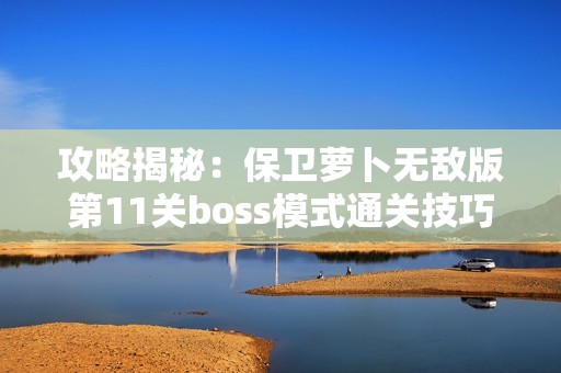 攻略揭秘：保卫萝卜无敌版第11关boss模式通关技巧解析