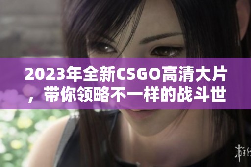 2023年全新CSGO高清大片，带你领略不一样的战斗世界