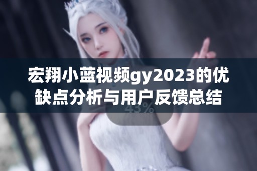 宏翔小蓝视频gy2023的优缺点分析与用户反馈总结