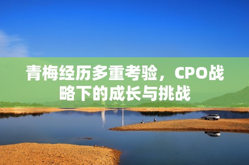 青梅经历多重考验，CPO战略下的成长与挑战