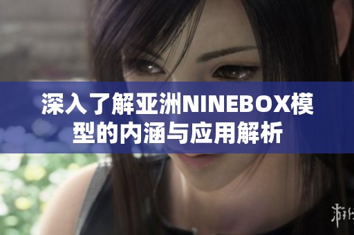 深入了解亚洲NINEBOX模型的内涵与应用解析