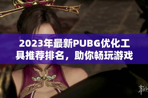 2023年最新PUBG优化工具推荐排名，助你畅玩游戏