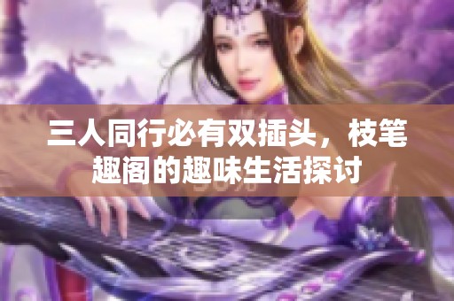 三人同行必有双插头，枝笔趣阁的趣味生活探讨