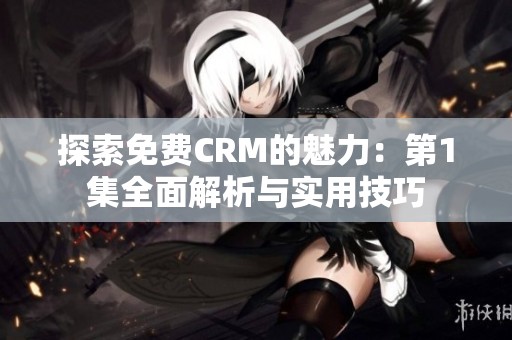 探索免费CRM的魅力：第1集全面解析与实用技巧