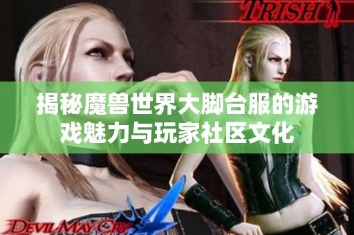 揭秘魔兽世界大脚台服的游戏魅力与玩家社区文化