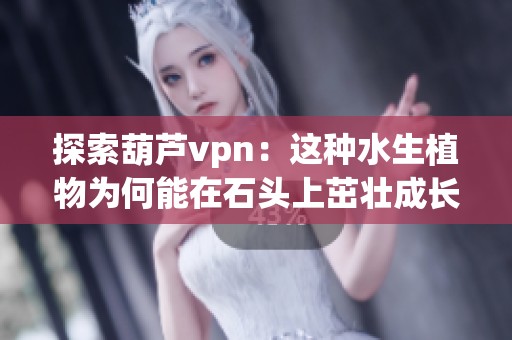 探索葫芦vpn：这种水生植物为何能在石头上茁壮成长？