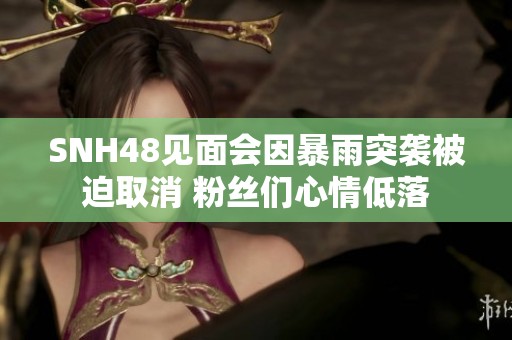 SNH48见面会因暴雨突袭被迫取消 粉丝们心情低落