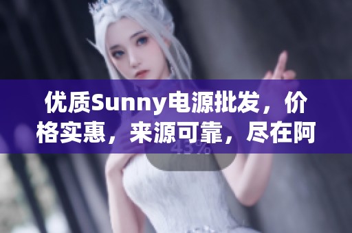 优质Sunny电源批发，价格实惠，来源可靠，尽在阿里巴巴商铺