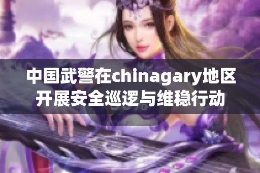 中国武警在chinagary地区开展安全巡逻与维稳行动