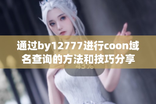 通过by12777进行coon域名查询的方法和技巧分享