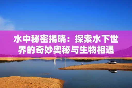 水中秘密揭晓：探索水下世界的奇妙奥秘与生物相遇