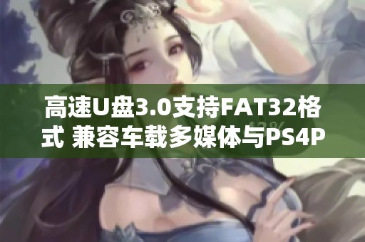 高速U盘3.0支持FAT32格式 兼容车载多媒体与PS4PS5