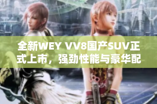 全新WEY VV8国产SUV正式上市，强劲性能与豪华配置兼备