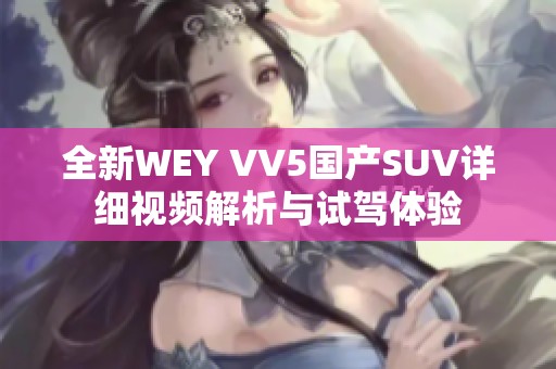 全新WEY VV5国产SUV详细视频解析与试驾体验