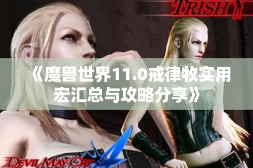 《魔兽世界11.0戒律牧实用宏汇总与攻略分享》