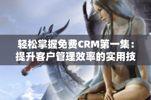 轻松掌握免费CRM第一集：提升客户管理效率的实用技巧