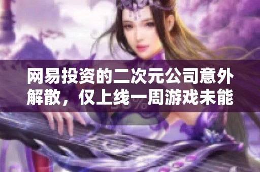 网易投资的二次元公司意外解散，仅上线一周游戏未能迎合市场