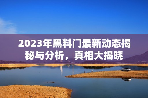 2023年黑料门最新动态揭秘与分析，真相大揭晓