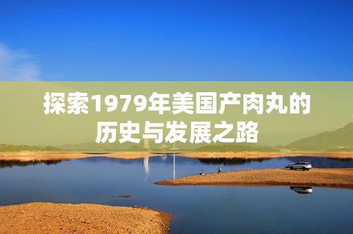 探索1979年美国产肉丸的历史与发展之路