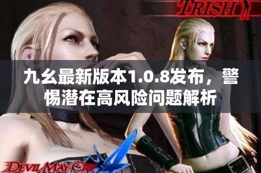 九幺最新版本1.0.8发布，警惕潜在高风险问题解析