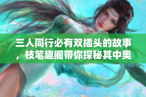 三人同行必有双插头的故事，枝笔趣阁带你探秘其中奥秘