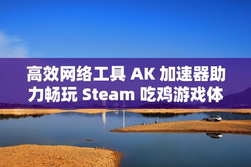 高效网络工具 AK 加速器助力畅玩 Steam 吃鸡游戏体验提升