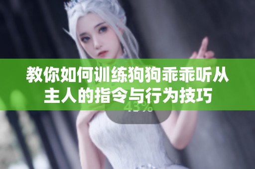 教你如何训练狗狗乖乖听从主人的指令与行为技巧