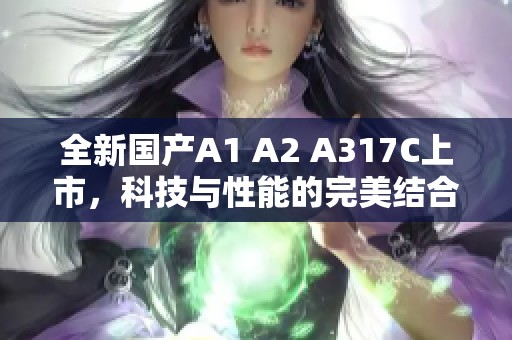 全新国产A1 A2 A317C上市，科技与性能的完美结合