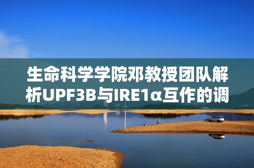 生命科学学院邓教授团队解析UPF3B与IRE1α互作的调节机制