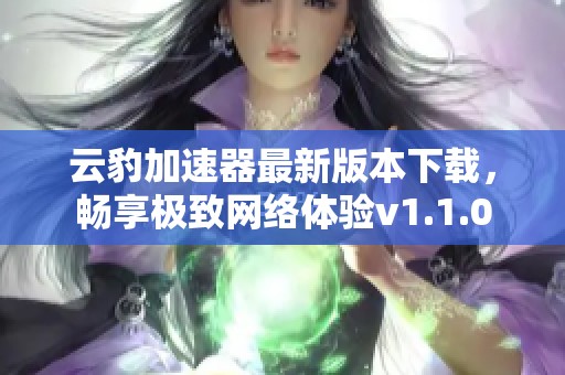 云豹加速器最新版本下载，畅享极致网络体验v1.1.0