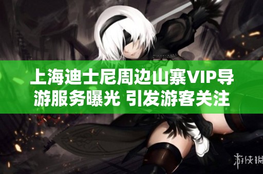 上海迪士尼周边山寨VIP导游服务曝光 引发游客关注