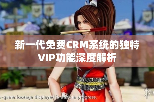 新一代免费CRM系统的独特VIP功能深度解析