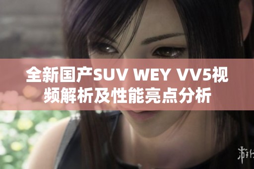 全新国产SUV WEY VV5视频解析及性能亮点分析