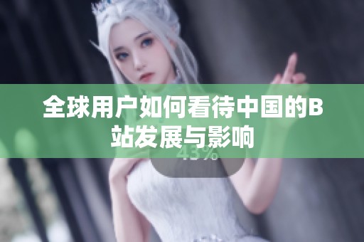 全球用户如何看待中国的B站发展与影响