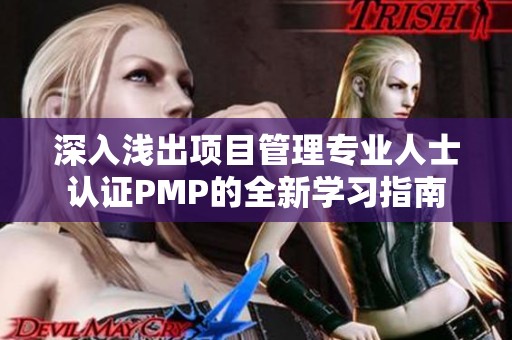 深入浅出项目管理专业人士认证PMP的全新学习指南