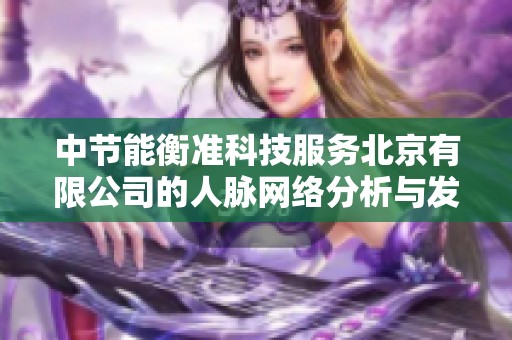 中节能衡准科技服务北京有限公司的人脉网络分析与发展潜力探讨