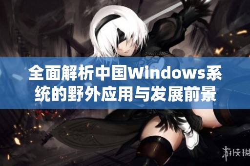 全面解析中国Windows系统的野外应用与发展前景