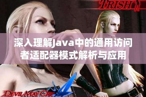 深入理解Java中的通用访问者适配器模式解析与应用