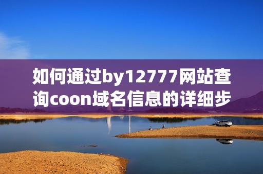 如何通过by12777网站查询coon域名信息的详细步骤