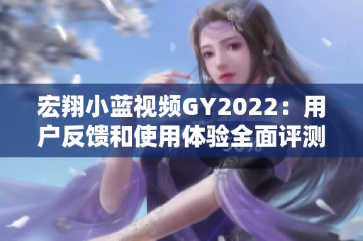 宏翔小蓝视频GY2022：用户反馈和使用体验全面评测