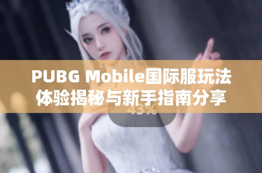 PUBG Mobile国际服玩法体验揭秘与新手指南分享