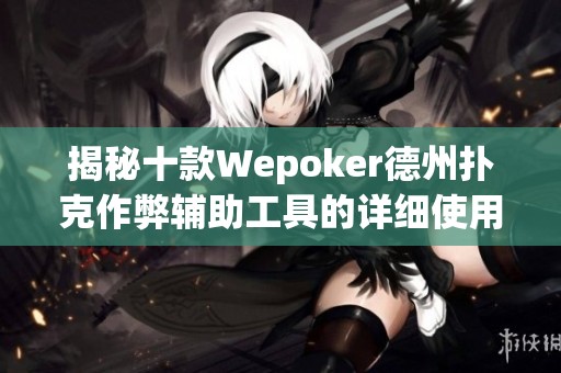 揭秘十款Wepoker德州扑克作弊辅助工具的详细使用教程