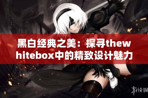 黑白经典之美：探寻thewhitebox中的精致设计魅力