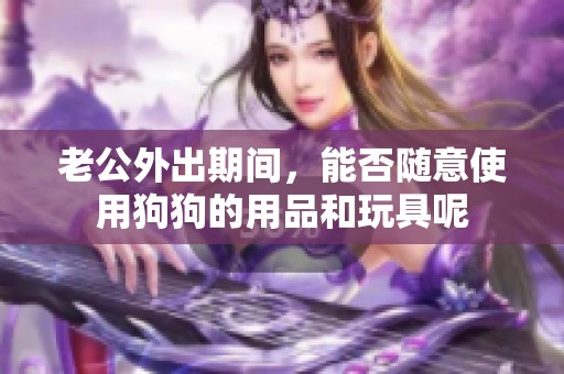 老公外出期间，能否随意使用狗狗的用品和玩具呢