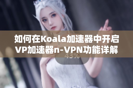 如何在Koala加速器中开启VP加速器n-VPN功能详解