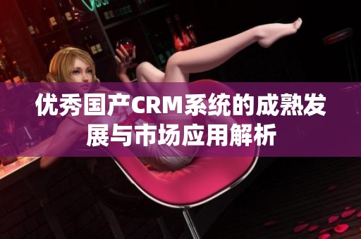 优秀国产CRM系统的成熟发展与市场应用解析