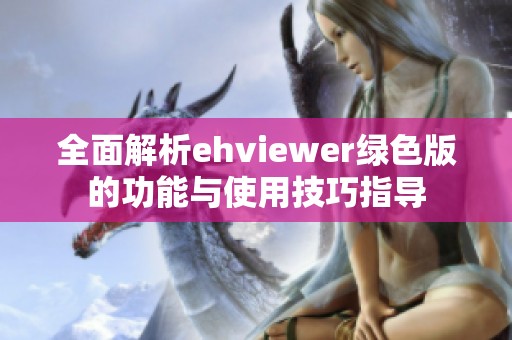 全面解析ehviewer绿色版的功能与使用技巧指导