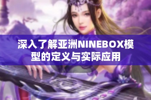 深入了解亚洲NINEBOX模型的定义与实际应用